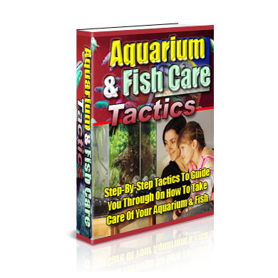 Discover expert aquarium and fish care tips to keep your underwater world thriving and your fish healthy and happy.